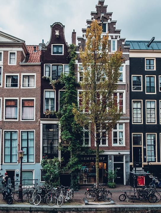 No Wealth Declaration Required